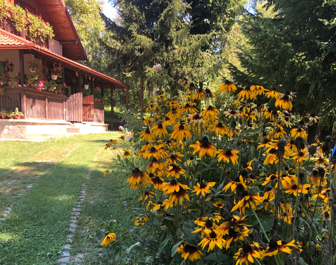 Amenajarea gradina cu flori