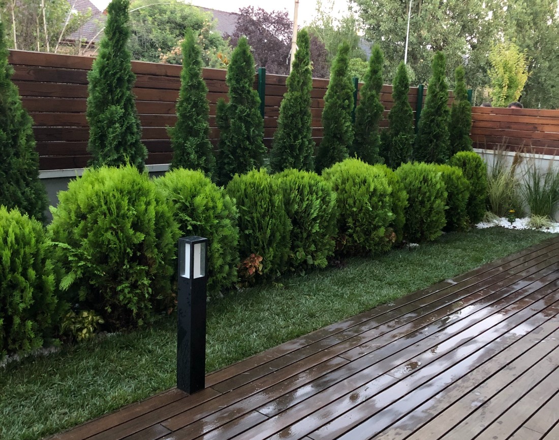 Amenajarea curtii unui apartament situat la parterul unui bloc