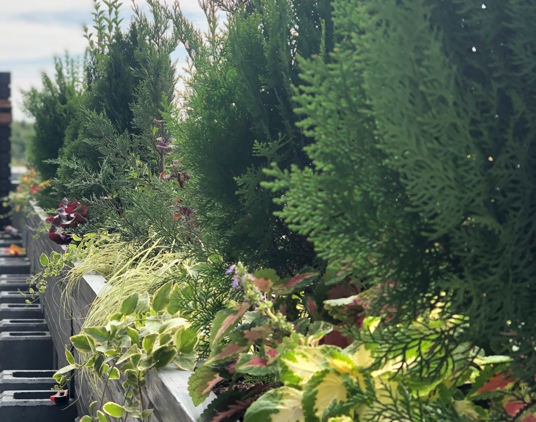 Amenajare jardiniere terasa