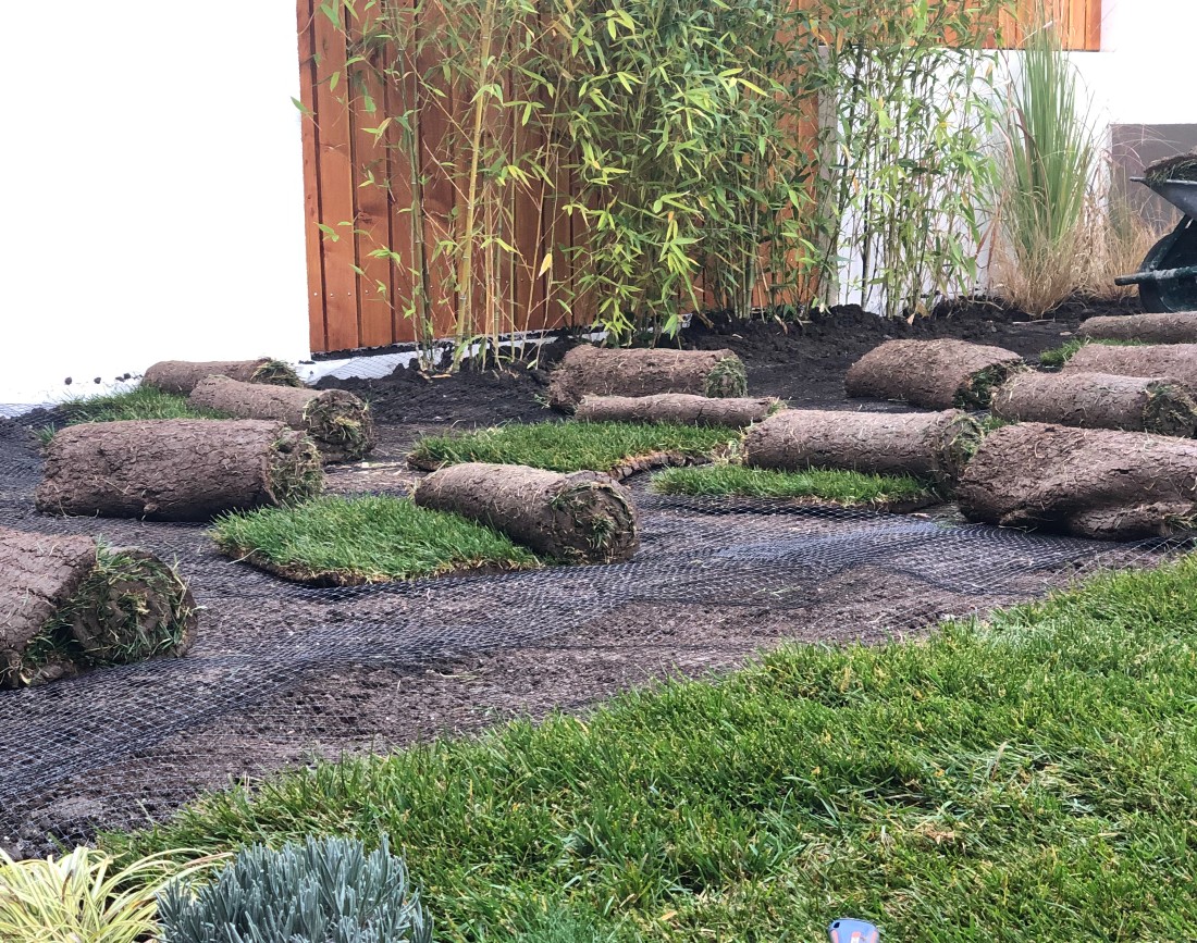 Implementare, plantare si montare rulouri de gazon,