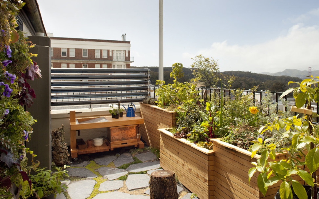 Amenajare balcon cu piatra si plante