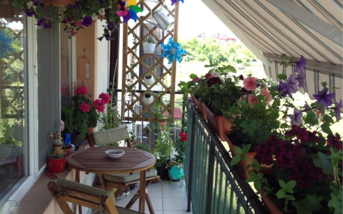 Balcon lung si ingust