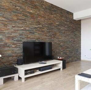Panel Ardezie Multi, 15 x 60 cm