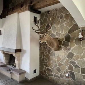 Ardezie Poligonala Homa – Piatra Naturala pt. Interior / Exterior | Fatade, Pavaje si Alei (1 mp = 10–14 bucati, 25mp/pa