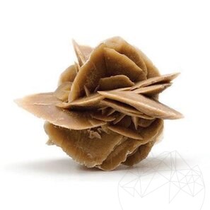 Desert Rose - Trandafirul Desertului KG