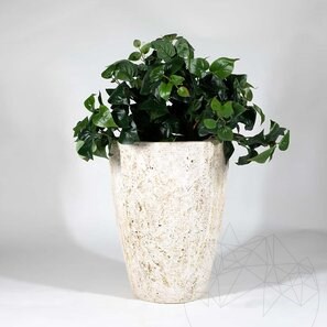 Jardiniera Romano Travertin Classic Rizat, 40 x 30 x 30 cm