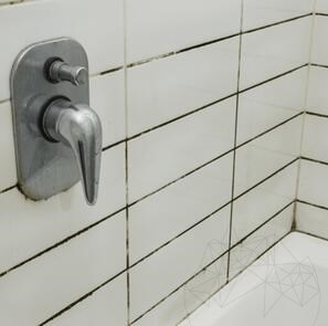LTP Premium Mouldex, моющее средство-спрей против плесени, грибка и водорослей для ванных комнат, кухонь, влажных помещений, 500 мл
