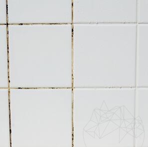 LTP Premium Mouldex, моющее средство-спрей против плесени, грибка и водорослей для ванных комнат, кухонь, влажных помещений, 500 мл