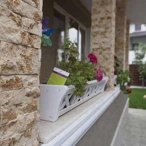 Limestone Sunny Dream Scapitata, 4 x 15 x 1.5 cm