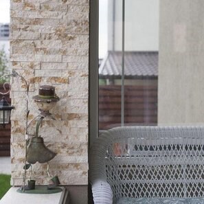 Limestone Sunny Dream Scapitata, 4 x 15 x 1.5 cm