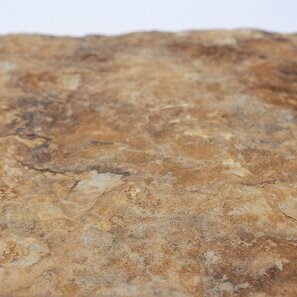 Sandstone Morayma Gold Scapitata, 30 x 60 x 1.5 - 2.5 cm