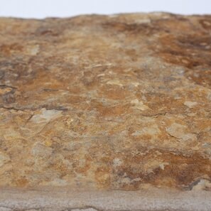 Sandstone Morayma Gold Scapitata, 30 x 60 x 1.5 - 2.5 cm