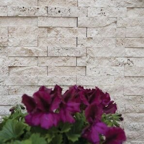Mozaic Travertin Classic Scapitat, 2.5 x 10 cm