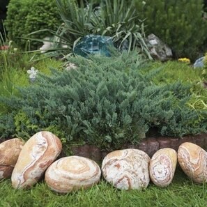 Pebbles Sandstone Rainbow 10-30 cm KG