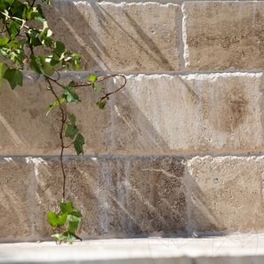 Travertin Latte PREMIUM Periat si Daltuit, 30.5 x 15.2 x 3 cm (Pavaj Exterior)