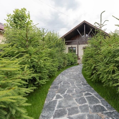 Ardezie Poligonala Verde Laguna - Piatra Naturala pt. Interior / Exterior | Fatade, Pavaje si Alei (1 mp = 10–14 bucati)
