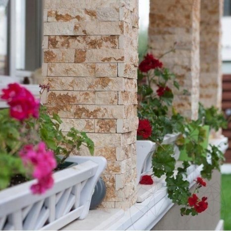 Limestone Sunny Dream Scapitata, 4 x 15 x 1.5 cm
