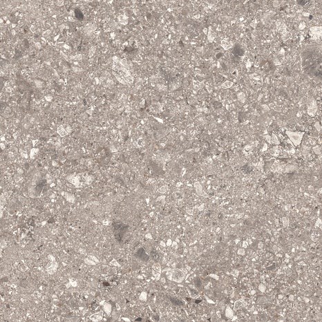 Piatra Sinterizata L'ALTRA PIETRA Fortezza Ceppo, 60  X 120 X 2 cm, R11 - Antiderapanta pt exterior