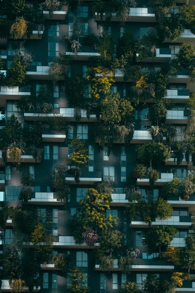 Ce este arhitectura