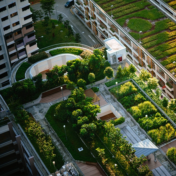 Recidiva la PIATRA: Urban Horticulture